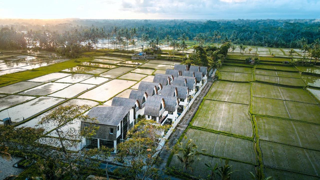 Asri Cinta Villa Ubud Eksteriør billede