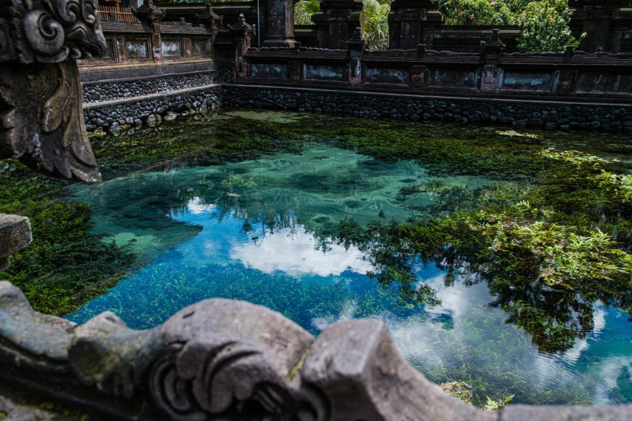 Asri Cinta Villa Ubud Eksteriør billede