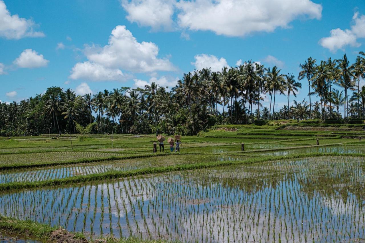 Asri Cinta Villa Ubud Eksteriør billede