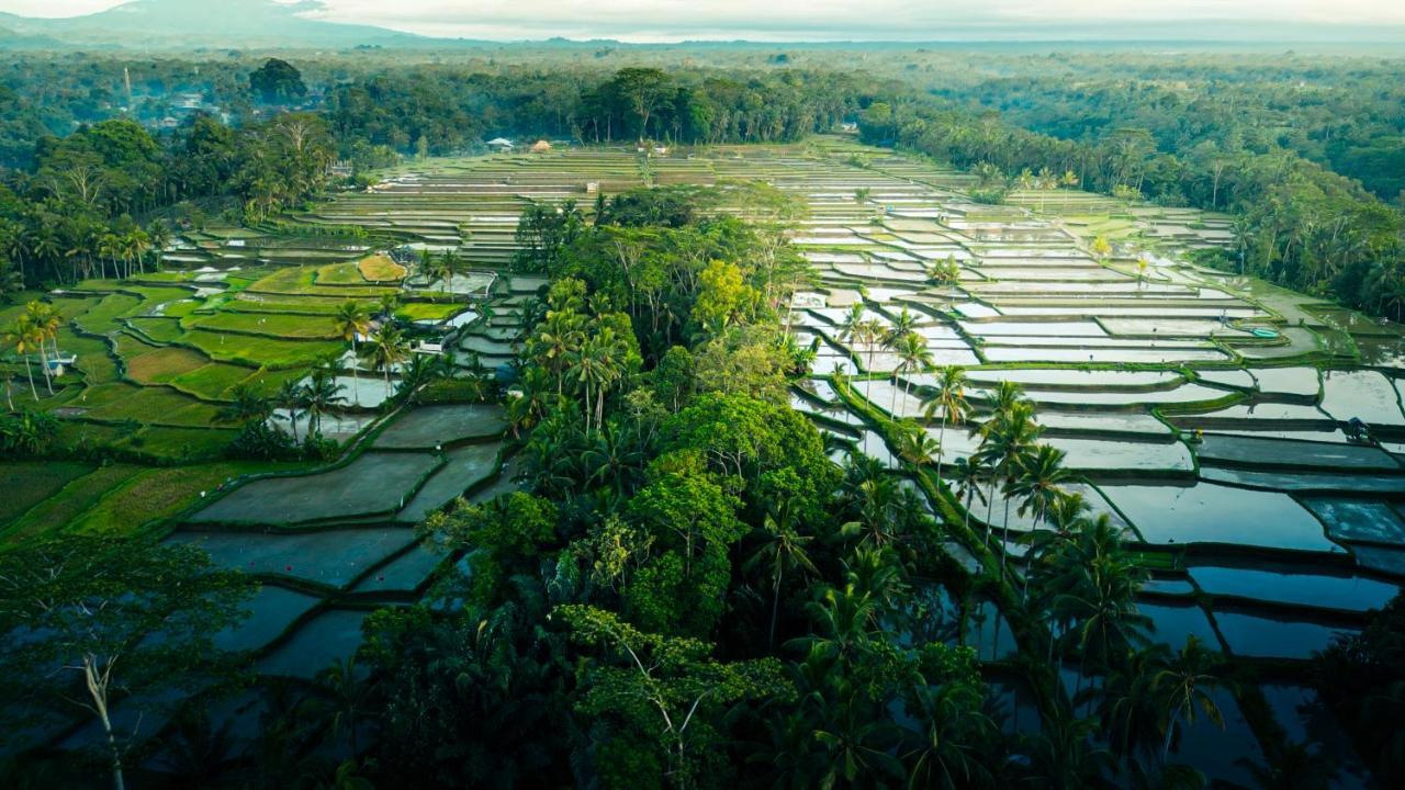 Asri Cinta Villa Ubud Eksteriør billede